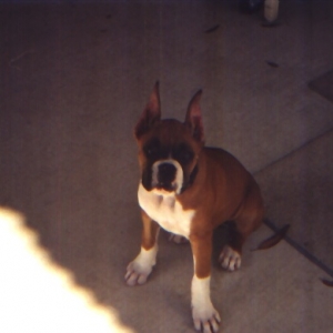 nitro_10_weeks