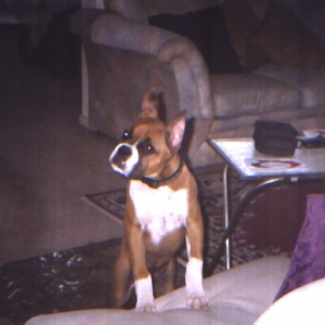 May23005