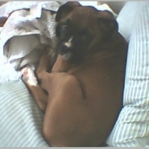 sleepin in the laundry