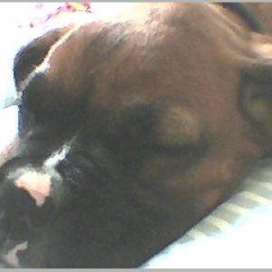 night night apollo