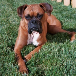 I'm looking Mah-velous