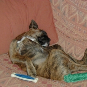 It's a hardlife