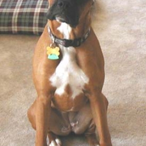 Why you pointing that camera at me?