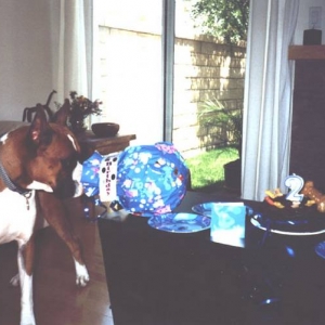 Fritz's 2nd B-Day