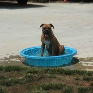 In the pool