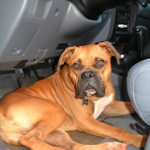 Car Ride