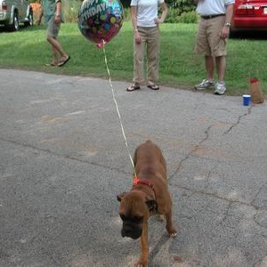 Happy Birthday!