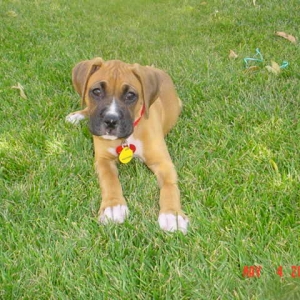 Ruby