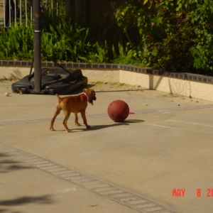 Playing B-ball...