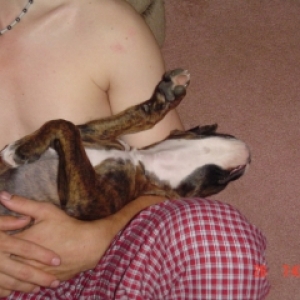 Sleepy Layla