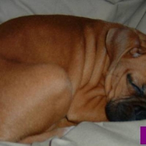 I need to get my beauty rest