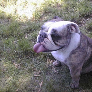 Lucy. And her tongue.