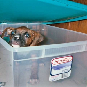 Mom how do i get out??