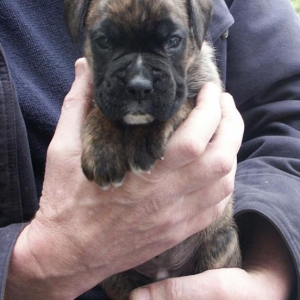 Max at 4 weeks old