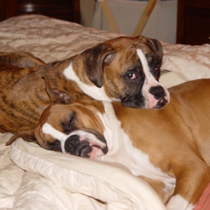 you really think YOU'RE going to bed??