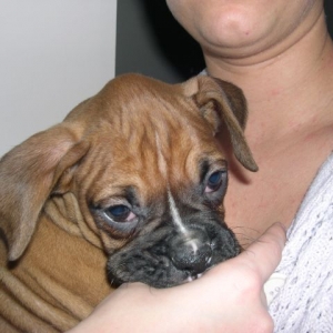 Zoe's first day home