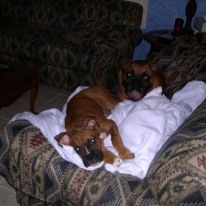 These towels are warm!