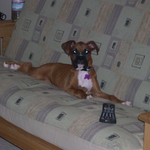 Watching TV