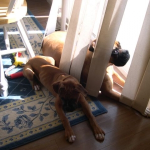 Sun bathing