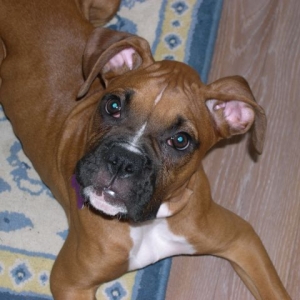 pretty girl