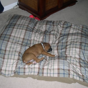 This bed is a little big don't ya think?