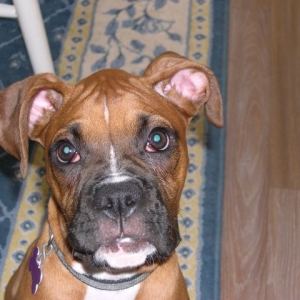 I love the camera!