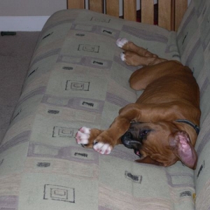 Lounging