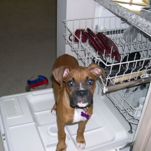 Helping mom in the kitchen