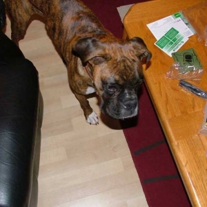 whats all this stuff?