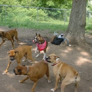 Finally, Same place at one time!!