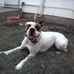 Our first boy.. he will never be forgotten