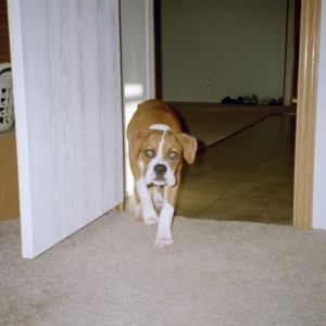 I'm gonna get you!