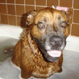 Another one in the tub