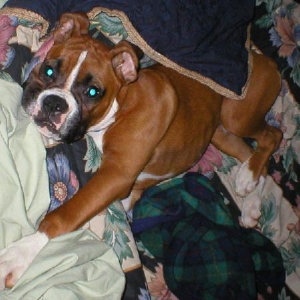 No get up