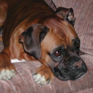 Sad Sack