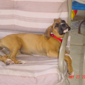 Ruby, Passed out...