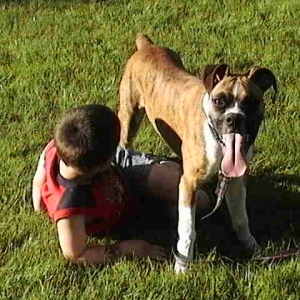 playing in the backyard