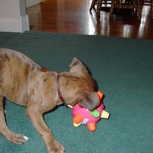Nate and his bumble ball