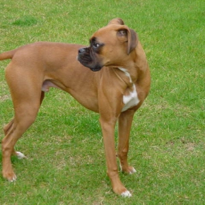 Mateus outside