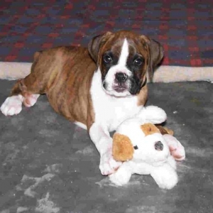 Baby Boy Duncan