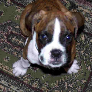 Pick Me Up Please