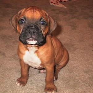 This is Chuy
