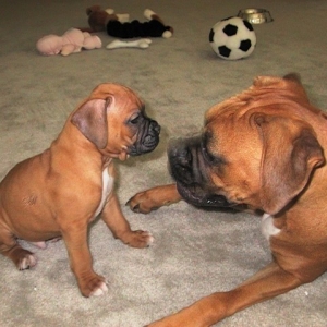 Our Babies!
