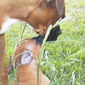 I love you!