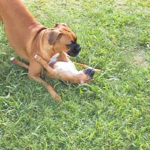 Having fun!