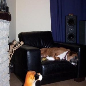 Just chillin'
