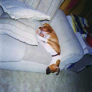 ahhh...my favorite spot