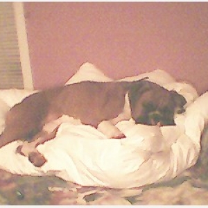 Mommy and I played a lot today
