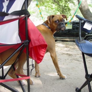 Rocky just had to sit and take a load off!!
