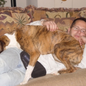 nothing like a 70lb lap boxer